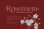 Redrains - Modern Serif Family