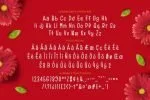 Reds Velvetos Font