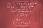 Reebbett Font