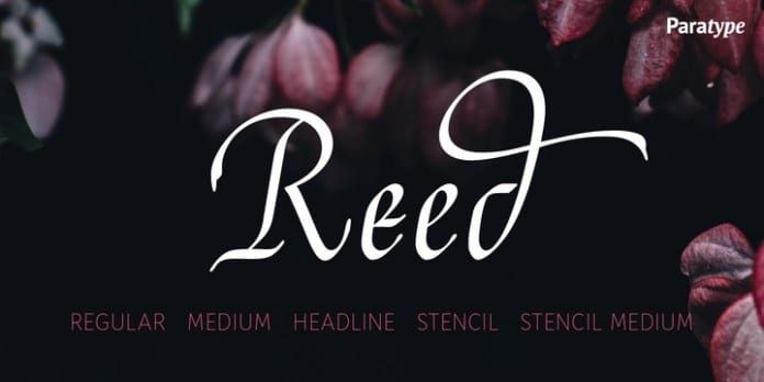 Reed Font Family