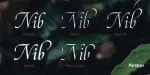 Reed Font Family