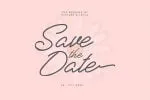 Reffinaya Monoline Script Typeface