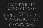 Regas Family - 2 Styles Font
