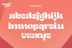Reggy - Modern Display Family Font