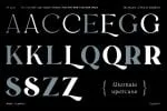 Regis Font