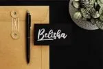 Reliser Font