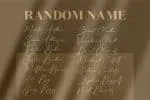Reltinatha Signature - Stylish Script Font