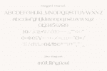 Rengard Font