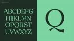 Reptile Medium Font