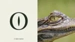 Reptile Medium Font