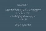 PN Housewife Font