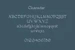 PN Housewife Font