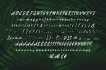 Resshoir Font
