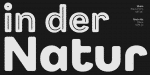 Rhein Font