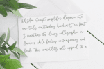 Rhythm Script Font