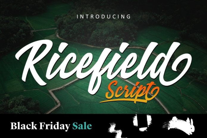 Ricefield Script