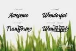 Ricefield Script