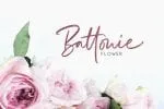 Richardson Signature Brush Font