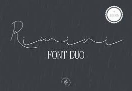 Rimini Font Duo Logos