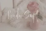 Rindu Script Font