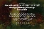 Ringotube Font