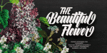 Ringstone Typeface Font