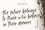 Risky Choice Font