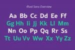 Rival Sans Font