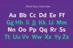 Rival Sans Font