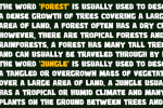 Virago Font