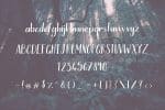 Riverwood Font