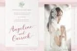 Rixiline Script Font