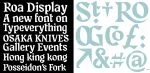 Roa Display Font