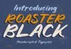 Roaster Black Font