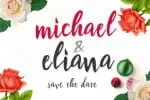 Robert Brush Font