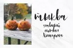 Rockies Font