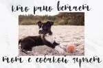 Rockies Font