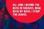 Rockrose Stave Font