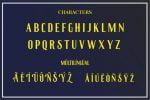 Roenksync Font