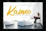 Rolest Modern Bold Script Font