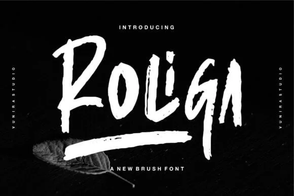 Roliga Font