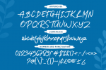 Roller Hopestar Font