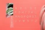 Rollgates Modern Sans Serif Font