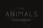Rolves Font Family
