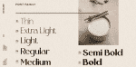 Romely Font Family