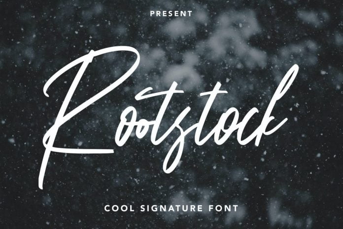 Rootstock - Cool Signature Font