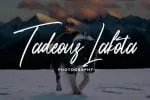 Rootstock - Cool Signature Font