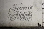Rosaline Script Font