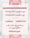 Rosamund Script & Extras Font