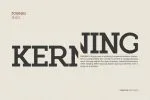 Roseau Slab Font